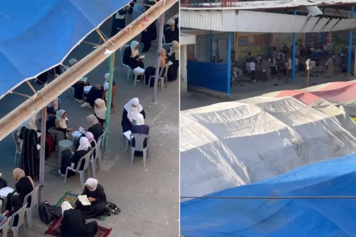 كومبو-4-copy-1718439176