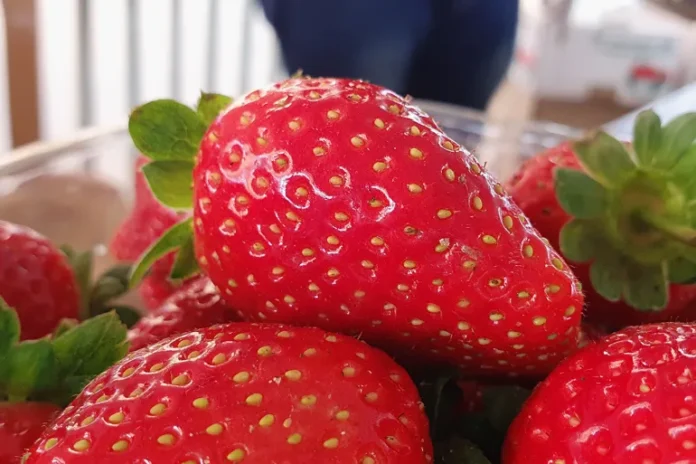 1f4ffbd1-efc9-46d1-83ec-7dfb23cfec9f