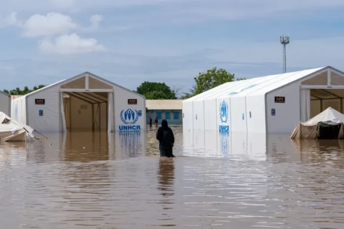 GTeOb1iW4AA7dbG-1722144450