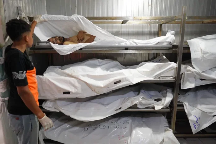 doc-362u2p3-1720327563