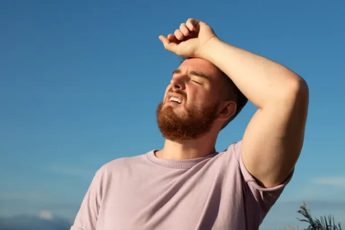 shutterstock_2262012357-1717924291