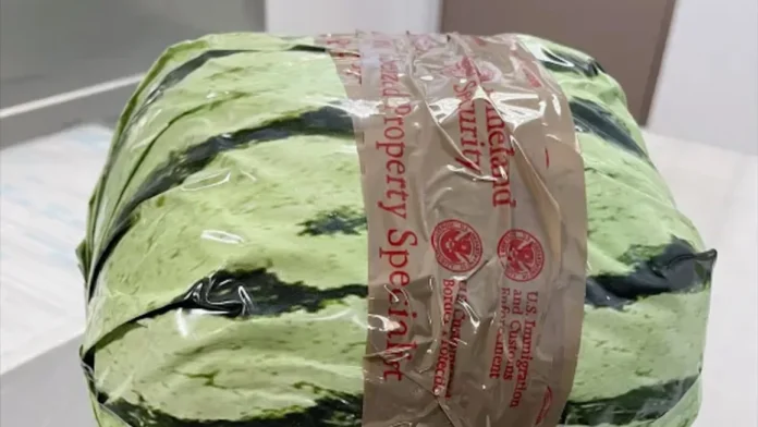 watermelon