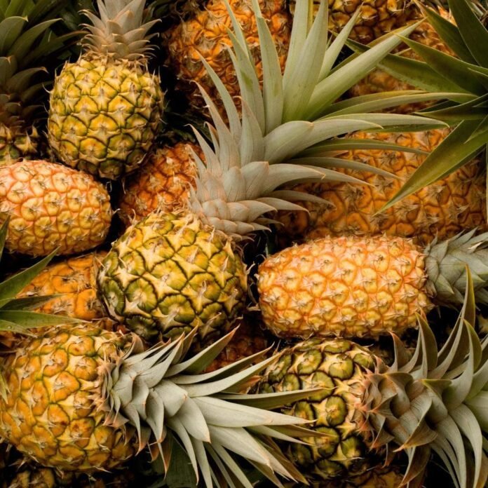 L’ananas