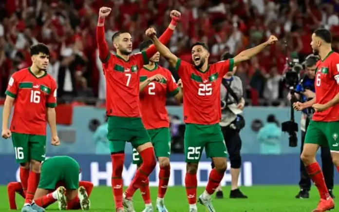 lions de l'atlas
