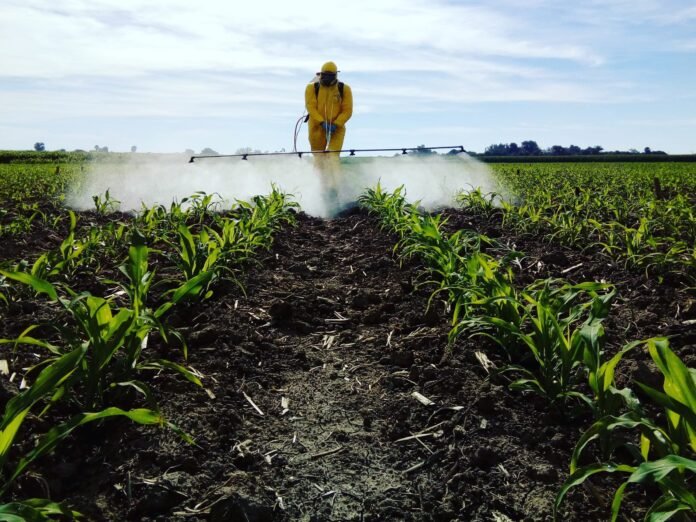 Man Spraying Pesticides While Standing In Farm