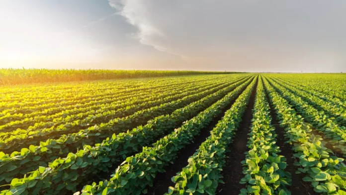 avenir agroalimentaire durable