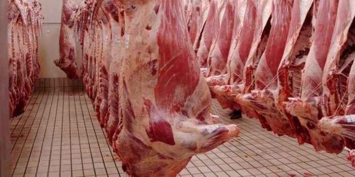 abattoirs
