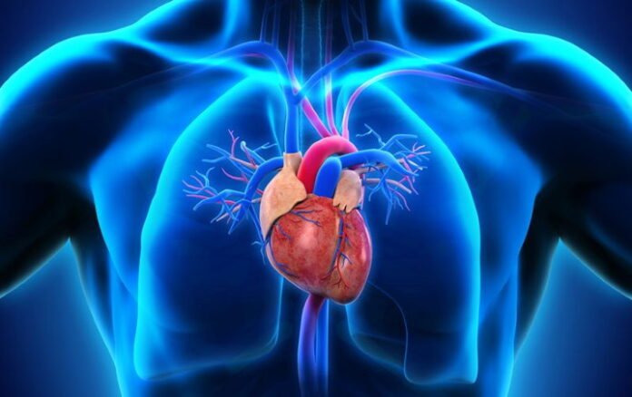 risques cardio-vasculaires