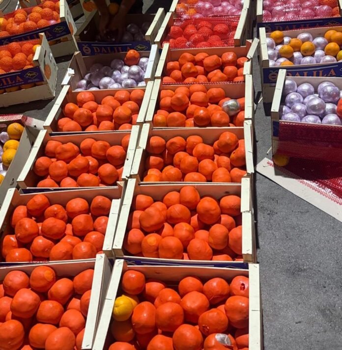 812b2a86-fb6d-465c-876e-d25551db3118