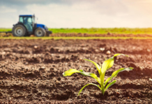 Des cartes intelligentes pour les sols agricoles marocains