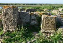 Tamusida, témoin millénaire de l’histoire du Maroc