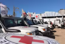 Dépouilles palestiniennes rendues dans le cadre du cessez-le-feu