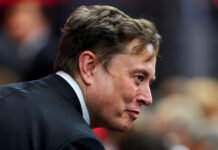 Elon Musk lance Grokipedia: l’IA au service de sa version du savoir