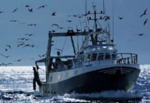 Bruxelles relance les négociations de pêche avec le Maroc