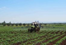 Boujdour: des projets agricoles ambitieux au Sahara