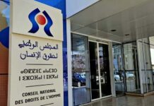 Alerte sur les cyberviolences faites aux femmes