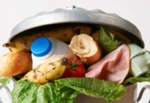 Les Marocains gaspillent 12 % de leur budget alimentaire
