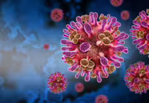 Virus Nipah: Pourquoi l’Inde est en alerte ?