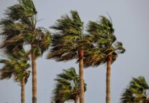 Alerte orange: Vents violents attendus