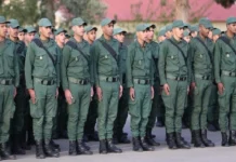 Service militaire: Comment se déroule le recensement 2026 ?