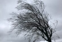 Météo: Coup de froid et vents forts attendus