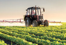 Soutien renforcé aux agriculteurs marocains