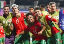 U20: Les Lionceaux en stage du 23 au 31 mars