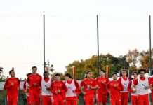 Les Lionceaux visent un nouveau sacre africain