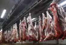 Viande rouge: Les prix atteignent des records