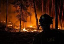 Espagne: 32.000 hectares brûlés près de Madrid