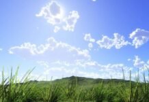 Météo: Chaleur intense et rafales de vent ce samedi