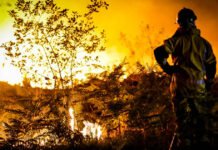 Incendies de forêt: 2.150 hectares ravagés depuis janvier