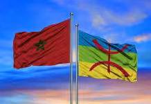 Législatives 2026: L’amazigh s’invite dans les programmes